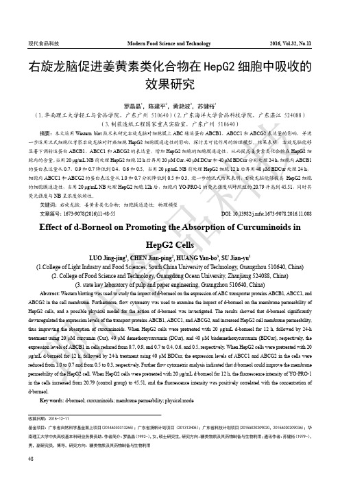 右旋龙脑促进姜黄素类化合物在HepG2细胞中吸收的效果研究
