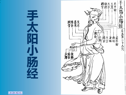 手太阳小肠经37页PPT38页PPT