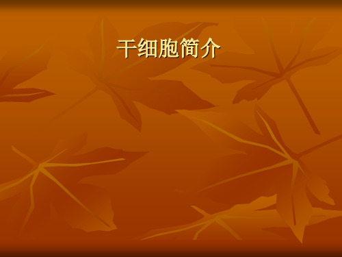 干细胞技术