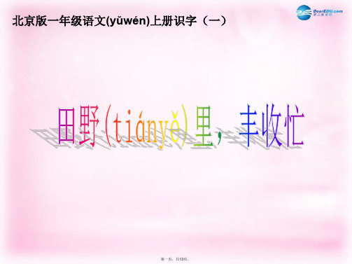 一年级语文上册《田野里,丰收忙》课件1 北京版