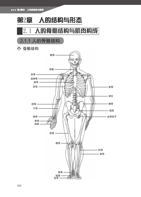 超级漫画绘制技法人体篇第2部分人的结构与差异第二章人的结构与形态2.1人的骨骼结构与肌肉构成