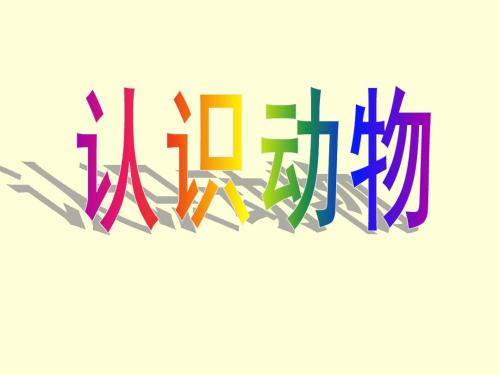 《松鼠和松果》PPT课件