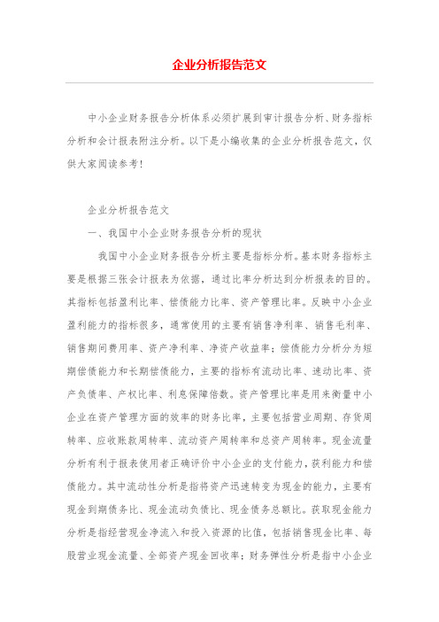 企业分析报告范文