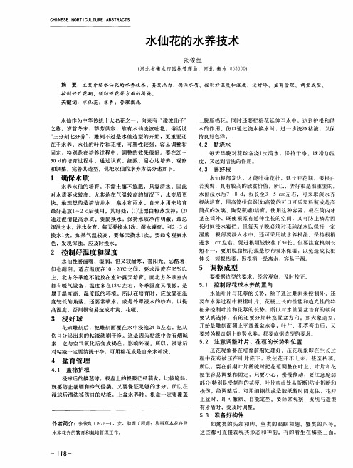 水仙花的水养技术