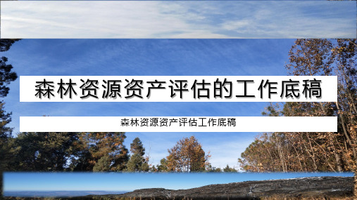 森林资源资产评估的工作底稿