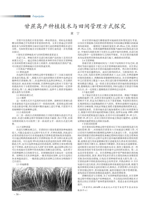 甘蔗高产种植技术与田间管理方式探究