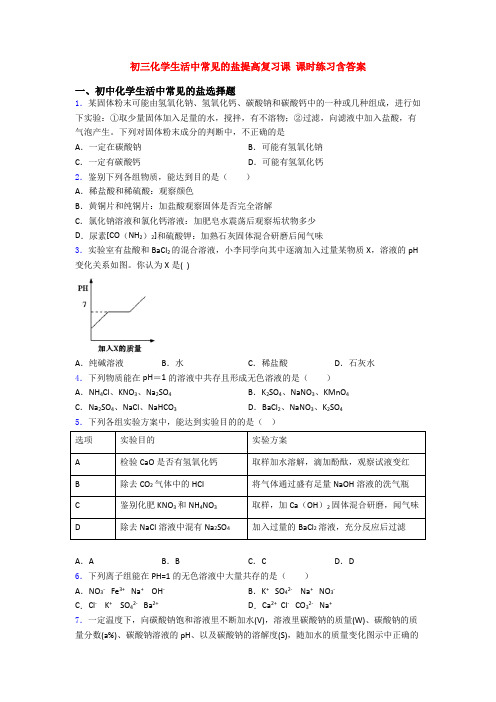 初三化学生活中常见的盐提高复习课 课时练习含答案