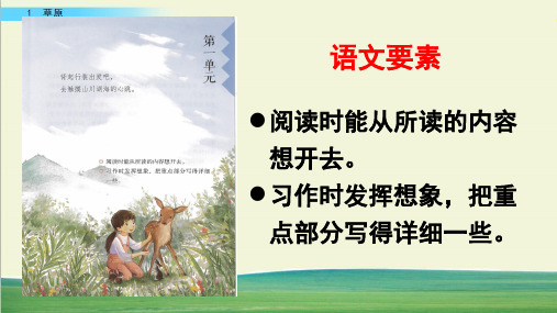 【人教部编版】草原PPT课件1