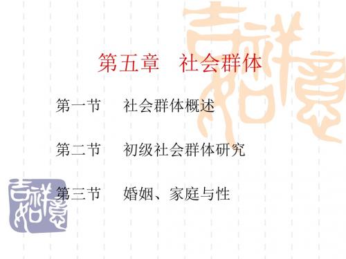 第5章  社会群体