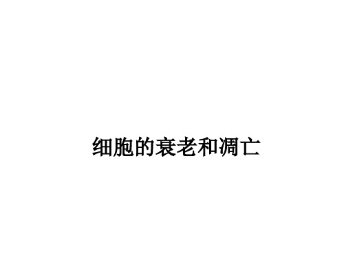 苏教版生物必修一5.2 细胞的衰老和凋亡 课件 