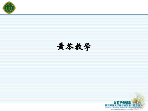 黄芩ppt课件
