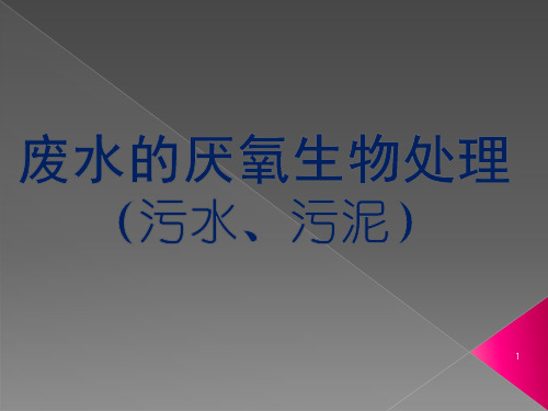 废水的厌氧生物处理污水污泥ppt课件