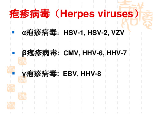 病原微生物-疱疹病毒