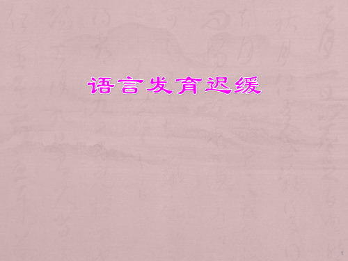 言语发育迟缓ppt课件