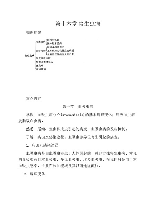 病理学 第十六章 寄生虫病 课程复习
