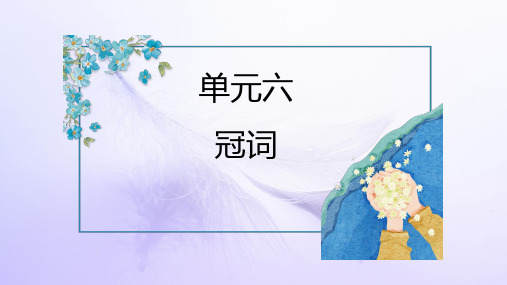 2024届高考英语一轮复习冠词