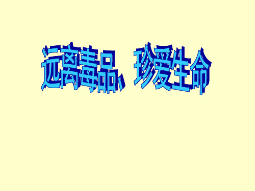 《拒绝毒品的诱惑》第一课时 .ppt教材