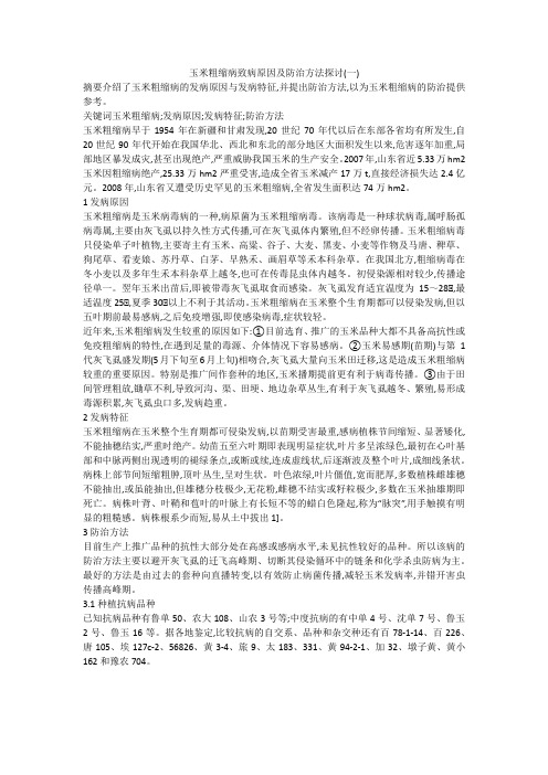 玉米粗缩病致病原因及防治方法探讨(一)