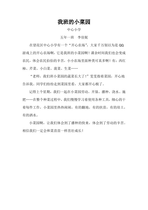 5.1我班的小菜园