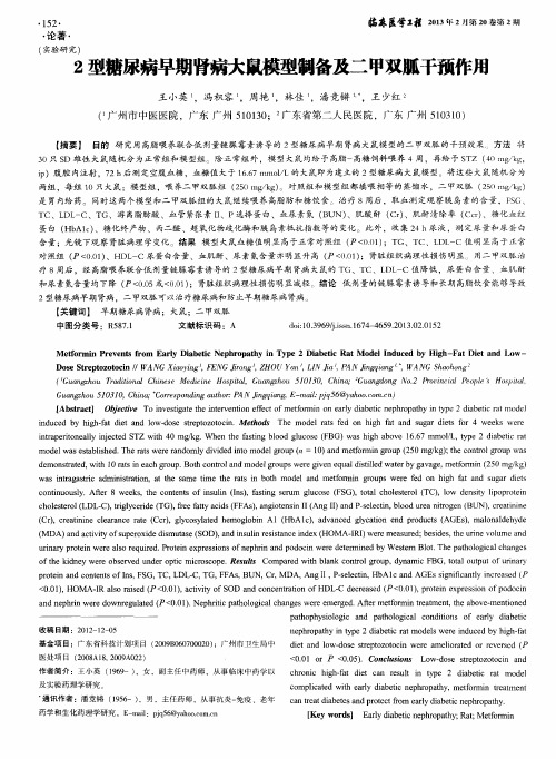 2型糖尿病早期肾病大鼠模型制备及二甲双胍干预作用