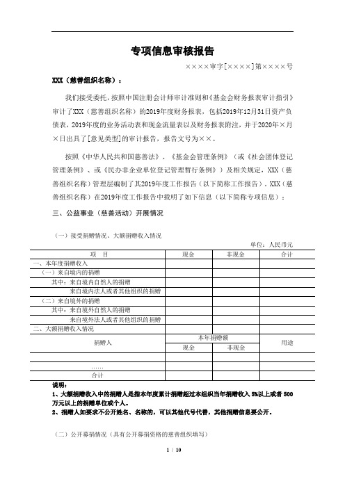 4.附件3慈善组织及基金会适用2019年度专项信息审核报告(范本)
