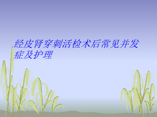 经皮肾穿刺活检术_【课件】
