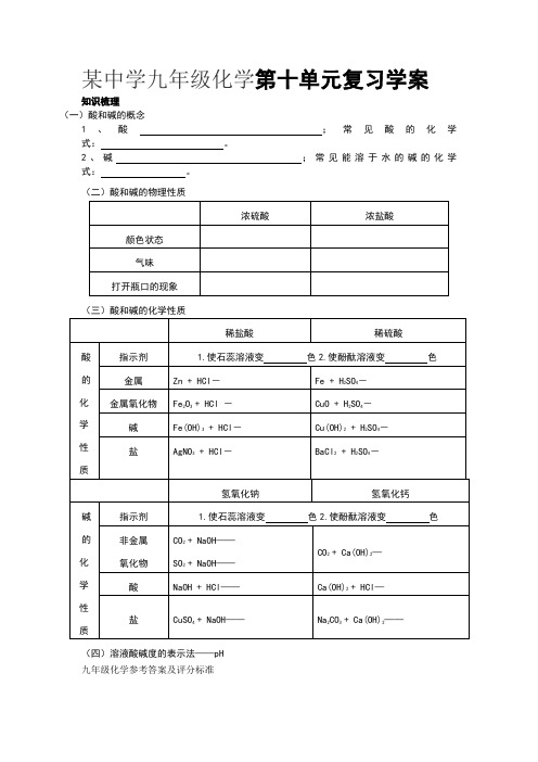 某中学九年级化学第十单元复习学案