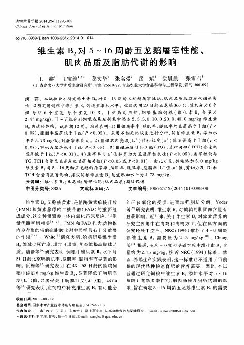 维生素B2对5～16周龄五龙鹅屠宰性能、肌肉品质及脂肪代谢的影响