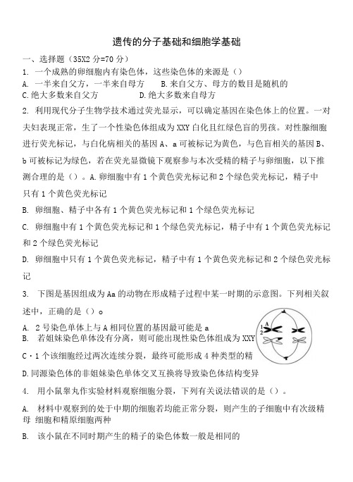 遗传的细胞基础和分子基础测试题(精).docx