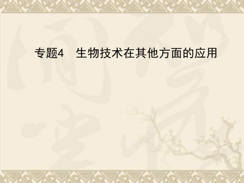 高三生物一轮复习 专题1.4生物技术在其他方面的应用同步课件 新人教版