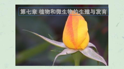 华师大版科学七下绿色开花植物的有性生殖与发育课件