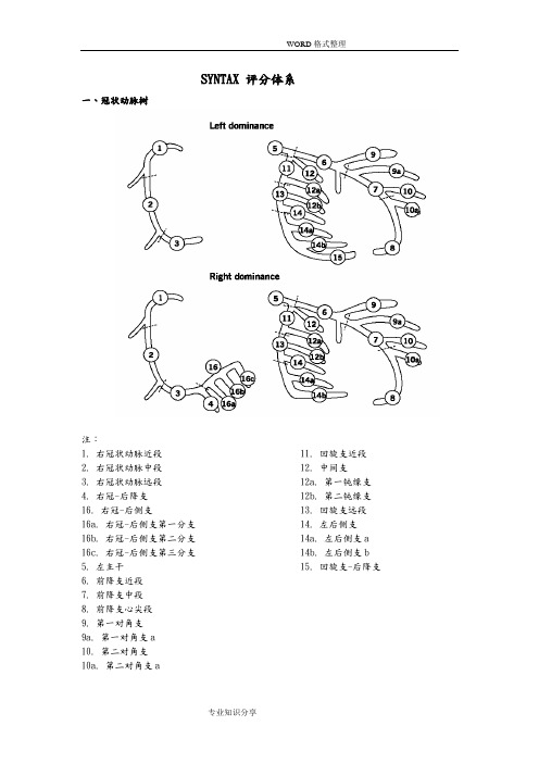 SYNTAX评分计算方法