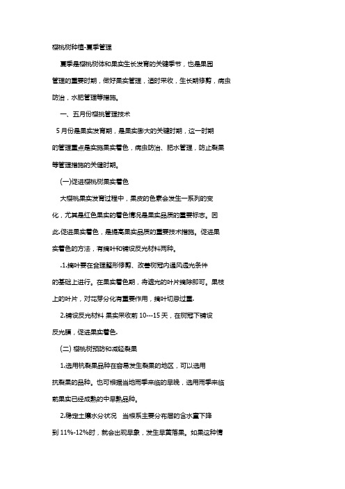 樱桃树种植-夏季管理