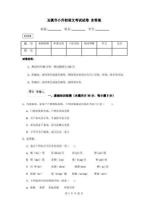 玉溪市小升初语文考试试卷 含答案