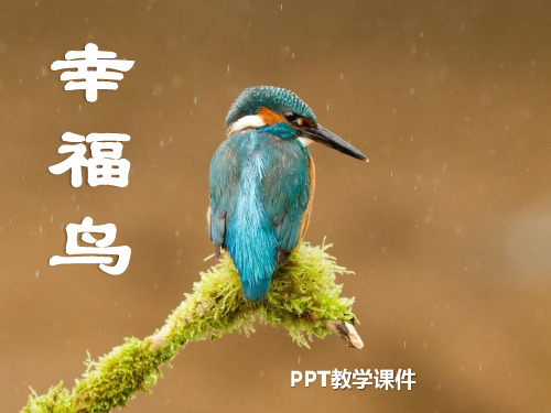 湘教版语文四上《幸福鸟》PPT课件