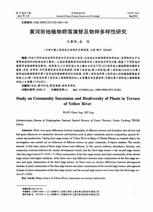 黄河阶地植物群落演替及物种多样性研究