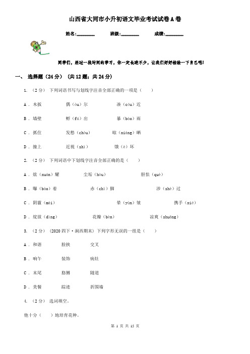山西省大同市小升初语文毕业考试试卷A卷