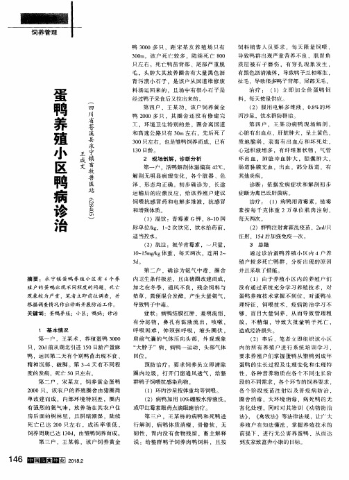 蛋鸭养殖小区鸭病诊治