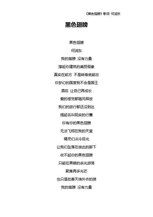《黑色翅膀》歌词 何润东