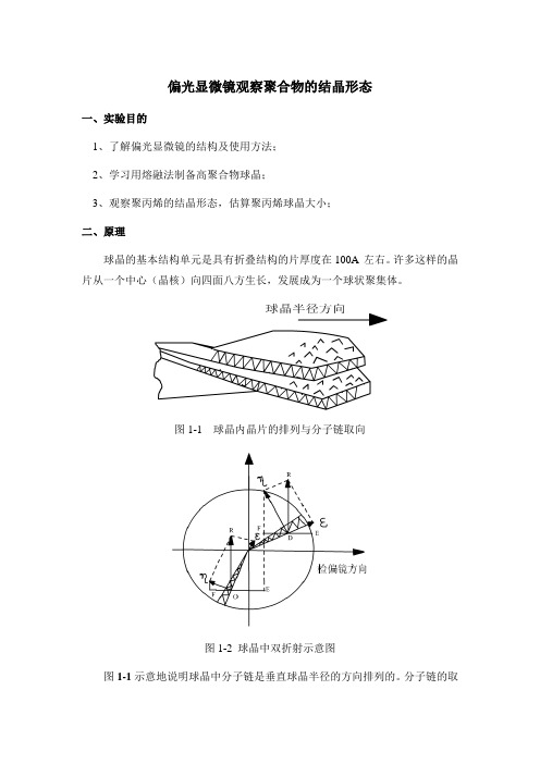 偏光显微镜观察聚合物的结晶形态