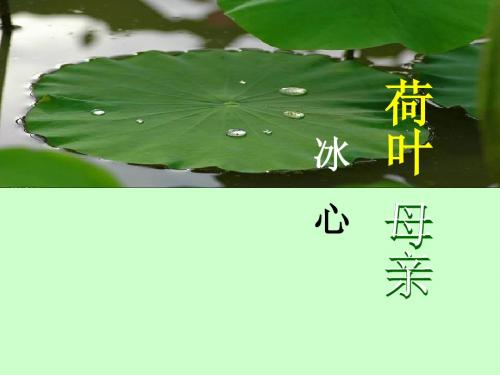 语文七年级上人教新课标第24课《荷叶母亲》课件