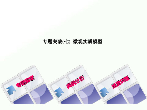 2020年中考化学专题突破(七) 微观实质模型