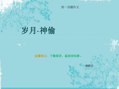 初一话题作文《岁月·神偷》800字