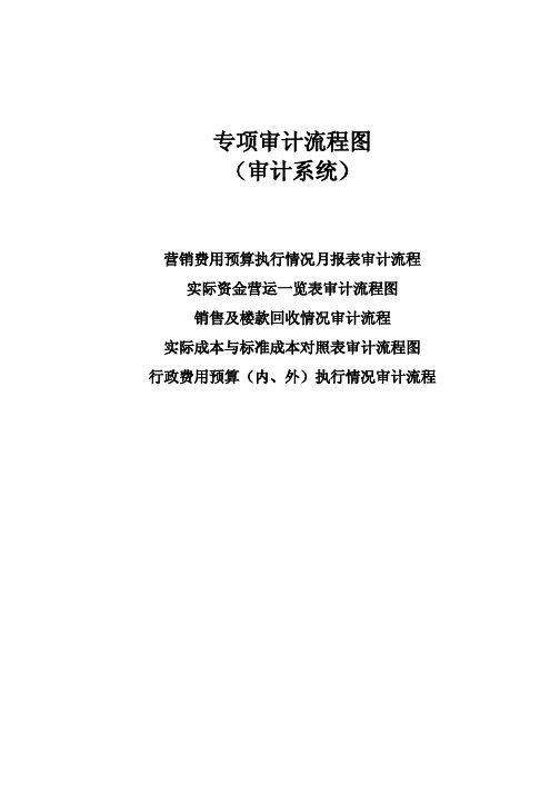 专项审计流程图(审计系统)