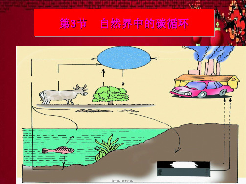 九年级科学下册 第3章 第3节 自然界的碳循环和氧循环课件1 华东师大级下册自然科学课件