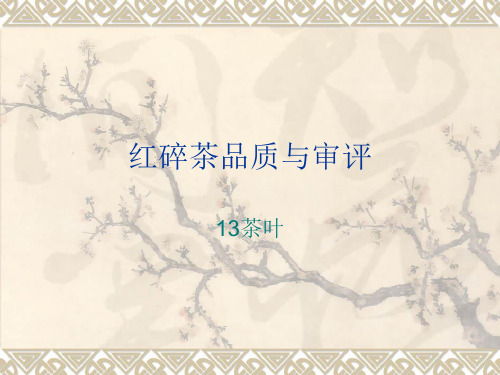 红碎茶审评解析