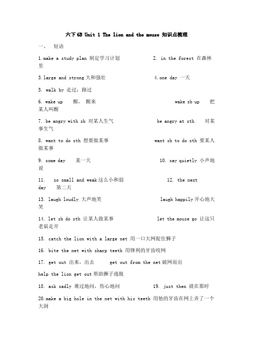 译林牛津英语6B知识点
