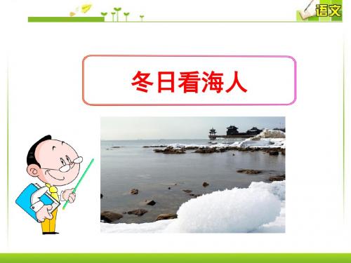 《冬日看海人》PPT课件(上课用)3