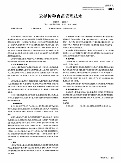 云杉树种育苗管理技术