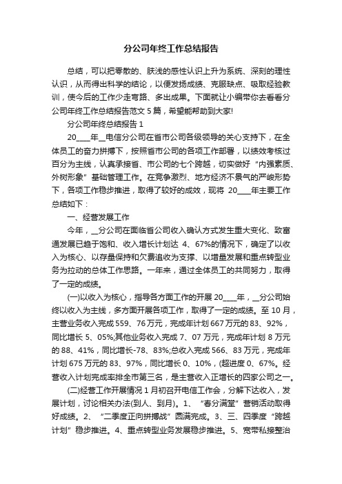 分公司年终工作总结报告